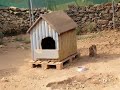 Valentin: DUO-Ibiza Tierhilfe Tierschutz Tierheim 