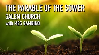 The Parable of the Sower - Meg Gambino - July 12, 2020