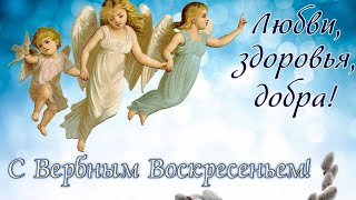 С Вербным Воскресеньем 🙏Красивое Поздравление На Вербное Воскресенье