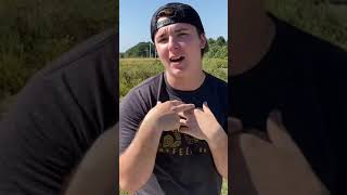 Putting My Hand In Fire Ants
