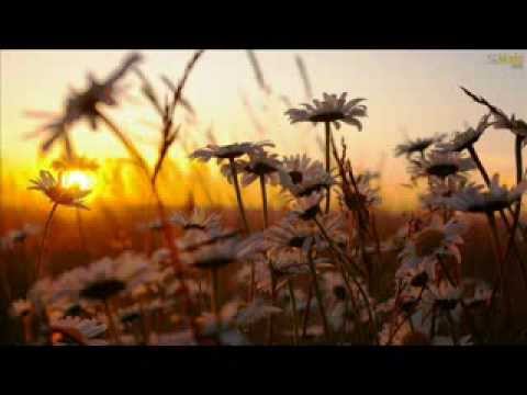 Tรขnia,Ismael e Alexis-venha santo espirito
