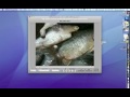 How to Edit iPhone 3Gs video