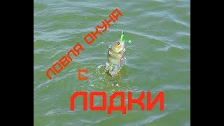 Ловля окуня с лодки. Рыбалка на «большой» воде.