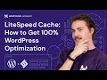 LiteSpeed Cache: How to Get 100% WordPress Optimization