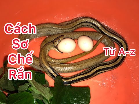 Chả rắn | hướng dẫn cách làm từ đầu đến cuối