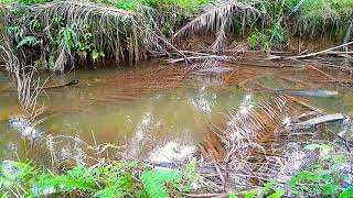 Mancing Gokil Pakdeblo