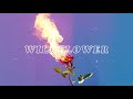 Ida Red Wildflower (Official Audio) Ida Red Wildflower (Official Audio)