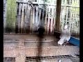 Bokep Anak Anak images Bokep Anak Anak