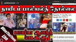 Yashika Anand Dog Issue - யஷக ஆனநத கத Live By S.shivavinoban