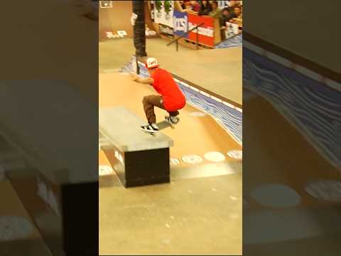 Luis Tolentino 2009 Classic Skateboarding Shorts