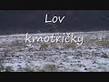 Lov lišky