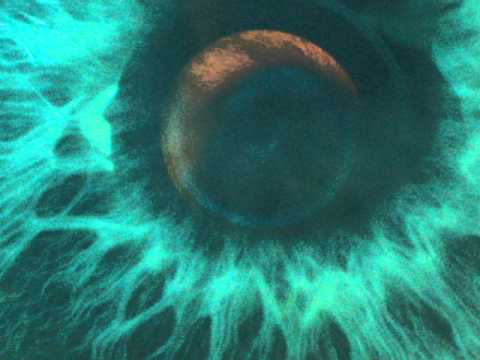 My 3rd eye.((l()l))
