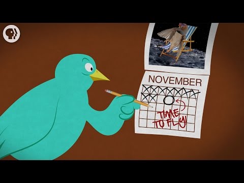 There's No Way Video
