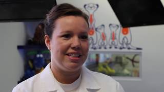 Partner Spotlight: Pacific Palisades Pediatric Dentistry