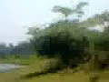 Hazrat Zuhair Bin Qais R A T images Hazrat Zuhair Bin Qais R A T