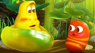 LARVA - LITTLE LARVA | Cartoon Movie | Cartoons For Children | Larva Cartoon | LARVA Official