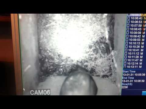 Blizzard Records Bird box cam Blizzard Records Bird box cam