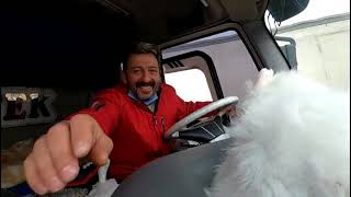 Efsane Ford Cargo Aragaz Mehmet Şen