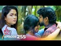 Jaanu Episode 255