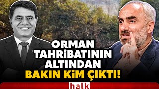 Eski Belediye Başkanı Ağaçları Kökünden Söktürdü Serikte Orman Tahribatı İsmail Saymaz Yazdı