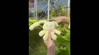 My Good Friend Gave Me A Carrot Rabbit, Thank You Isxploding