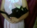 Mulher amamentando gato