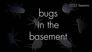 Bugs In The Basement- Otobius Megnini aka The Ear Tick
