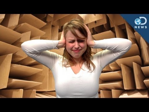 I Hate You Video