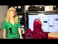 5 Hidden Worlds Revealed Under a Microscope (w/ Sesame Street) #5facts