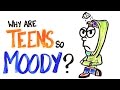 Why Are Teens So Moody?