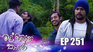 Mal Pipena Kale | Episode 251