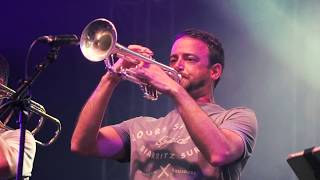 Mighty Vipers - Roots (Live at Rock and Bowl Festival)