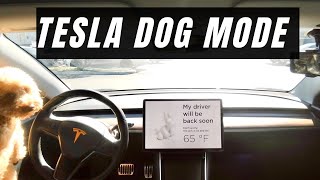 How To Use Dog Mode Tesla Model 3 2021