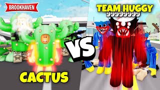 Team Cactus Vs Team Huggy Wuggy ... Brookhaven - Roblox