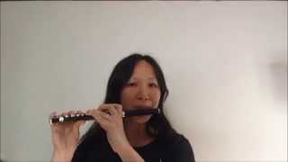 ????? Saint Seiya Pegasus Fantasy - solo piccolo cover - Japanese anime