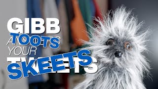Gibb Toots Your S March 2025