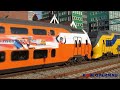 NS