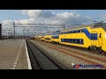NS