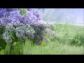 16.05.2016 Божье прощение (2-е Петра 3:10‒18) 16.05.2016 Божье прощение (2-е Петра 3:10‒18)
