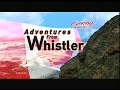 Whistler's Ziptrek Ecotours