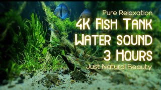 3 hours of relaxing 4K aquarium with water sounds