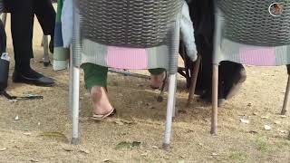 Under-Table Dangling The Most Beautiful Soft Soles Ever