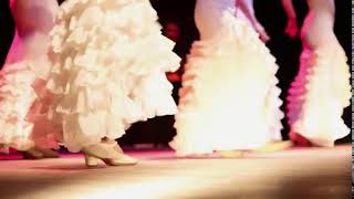 Flamenco show in Barcelona for a company party