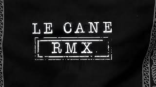 MUTİ - LE CANE 'RMX, feat. MURDA x SUMMER CEM (Lyric )