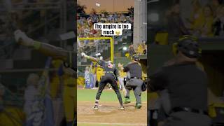 Dancing Umpire Fail Turns Into A Twerk