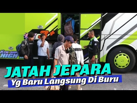MANTAP JIWA🔥Jatah Jepara Langsung Di serbu penumpang