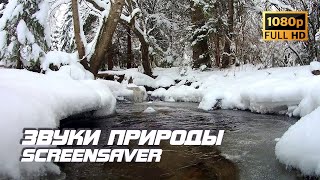 Живая Природа - Река | Ручей | Звуки Природы | Звуки Ручья | Шум Воды | Релаксация | Заставка Для Тв