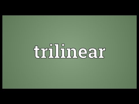 Header of trilinear