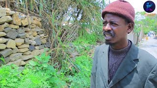 Kemalatkum - Amel - ኣመል - part 6 New Ethiopian tigrigna comedy (full) 2019