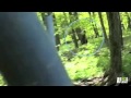 Two Kids, a Camera and a Bigfoot | Finding Bigfoot